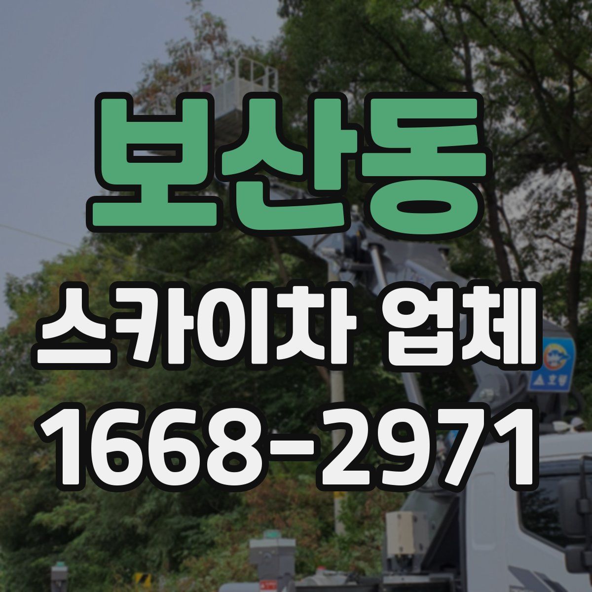 보산동 스카이차 업체