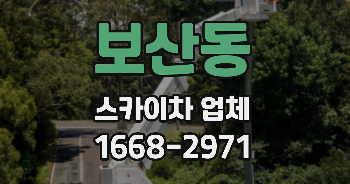 보산동 스카이차 업체
