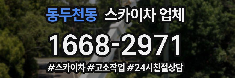 동두천동 스카이차 업체