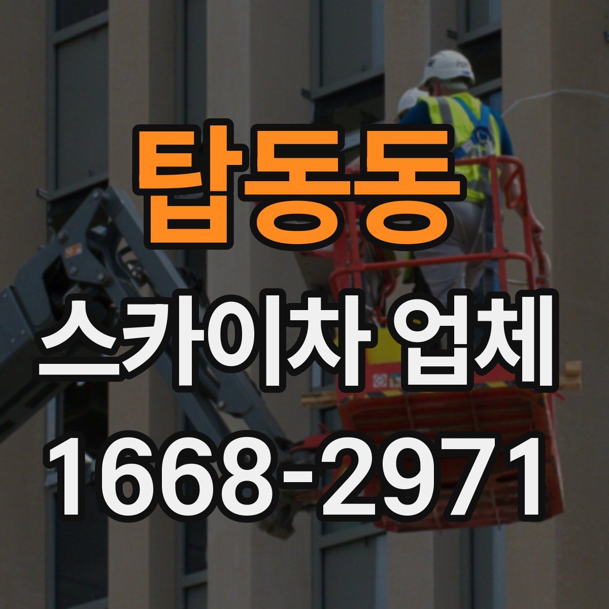 탑동동 스카이차 업체