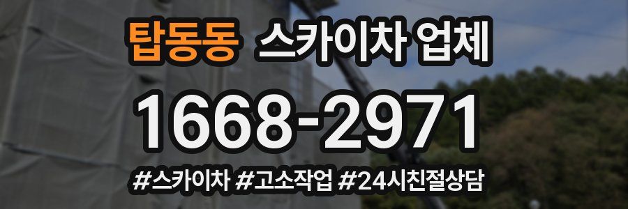 탑동동 스카이차 업체