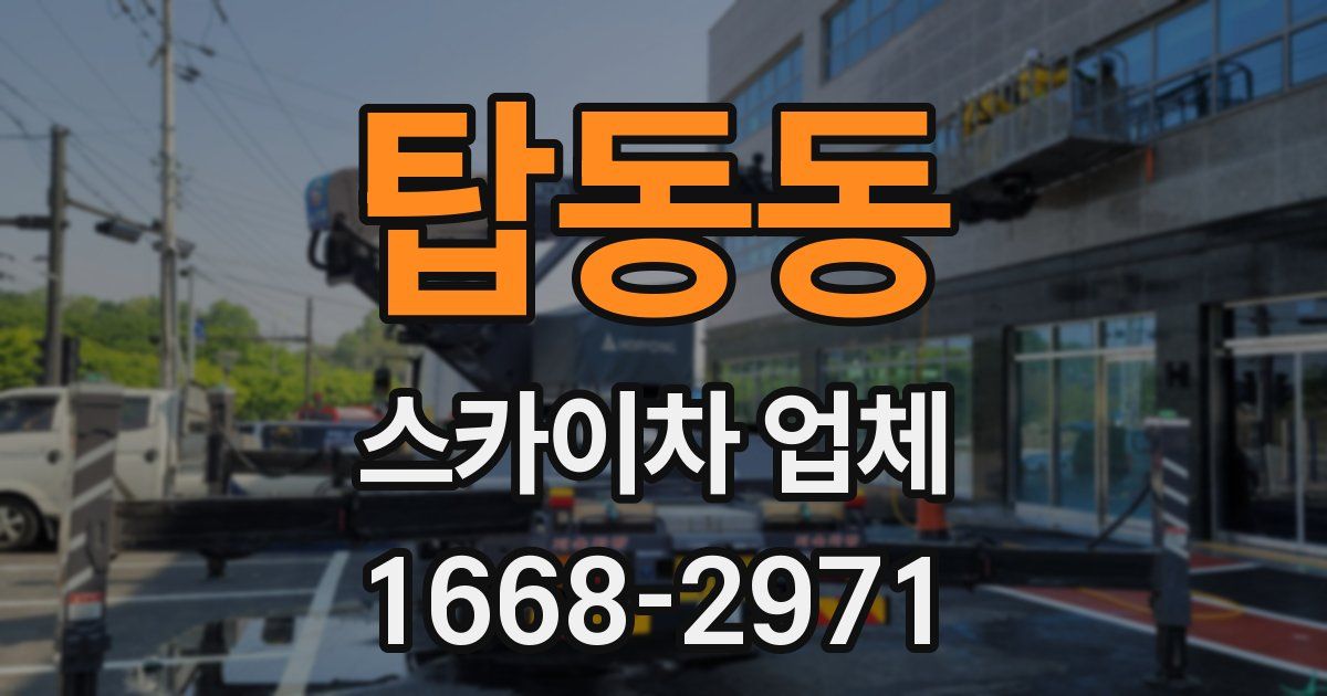 탑동동 스카이차 업체
