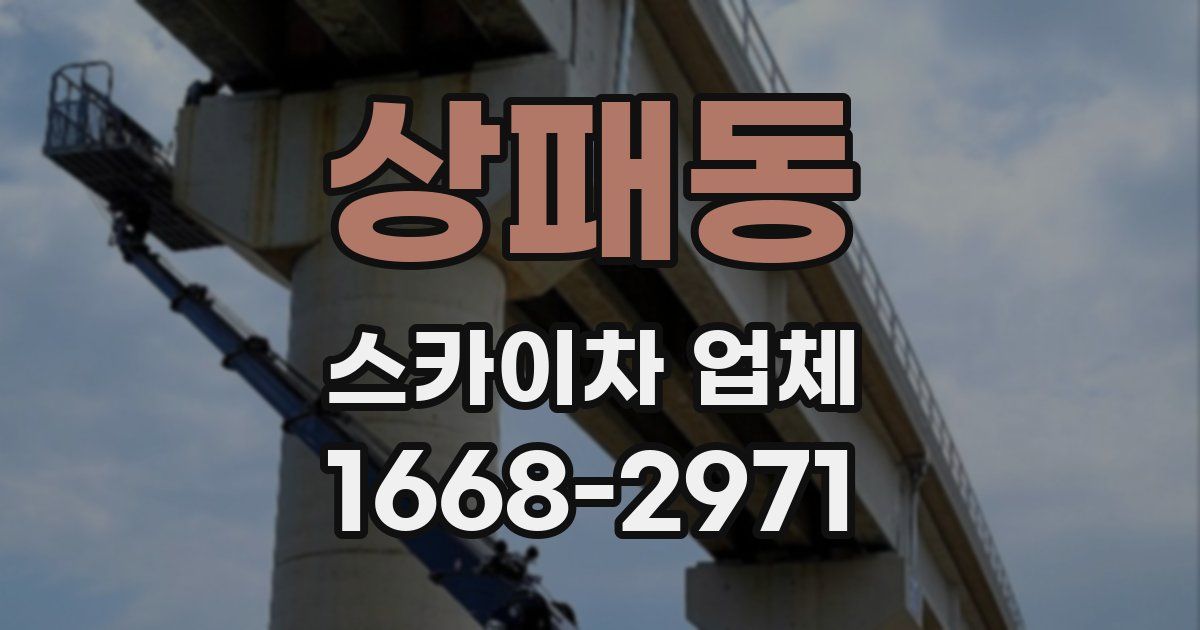 상패동 스카이차 업체