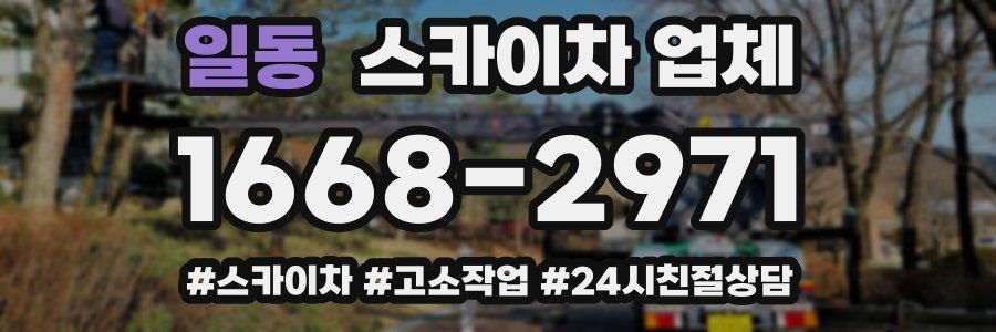 일동 스카이차 업체