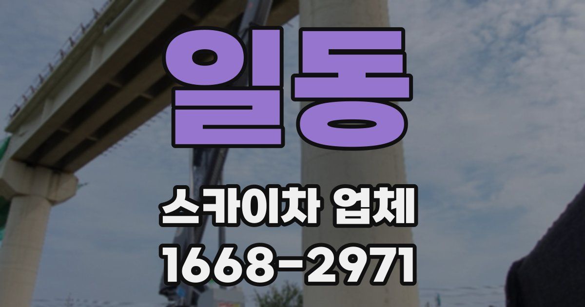 일동 스카이차 업체