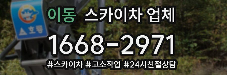 이동 스카이차 업체