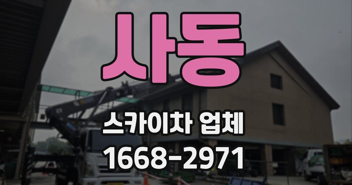 사동 스카이차 업체