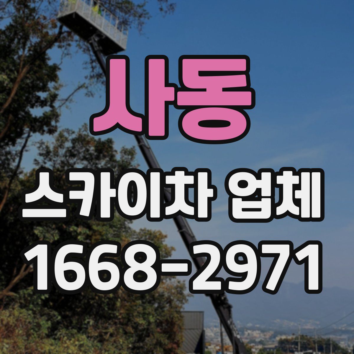 사동 스카이차 업체