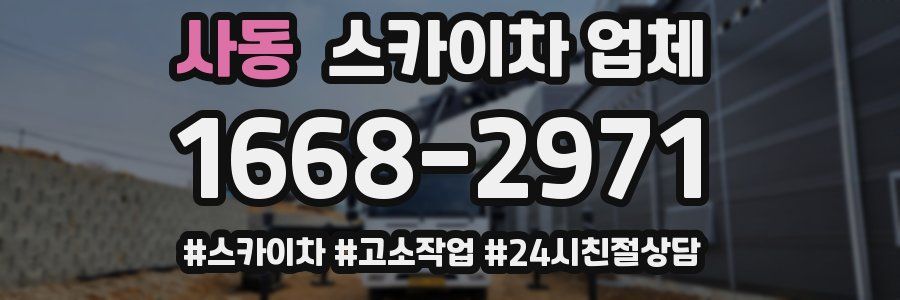 사동 스카이차 업체