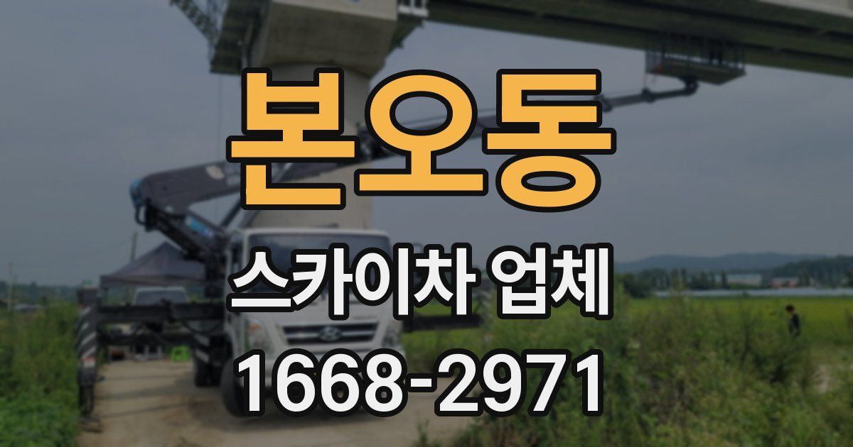 본오동 스카이차 업체