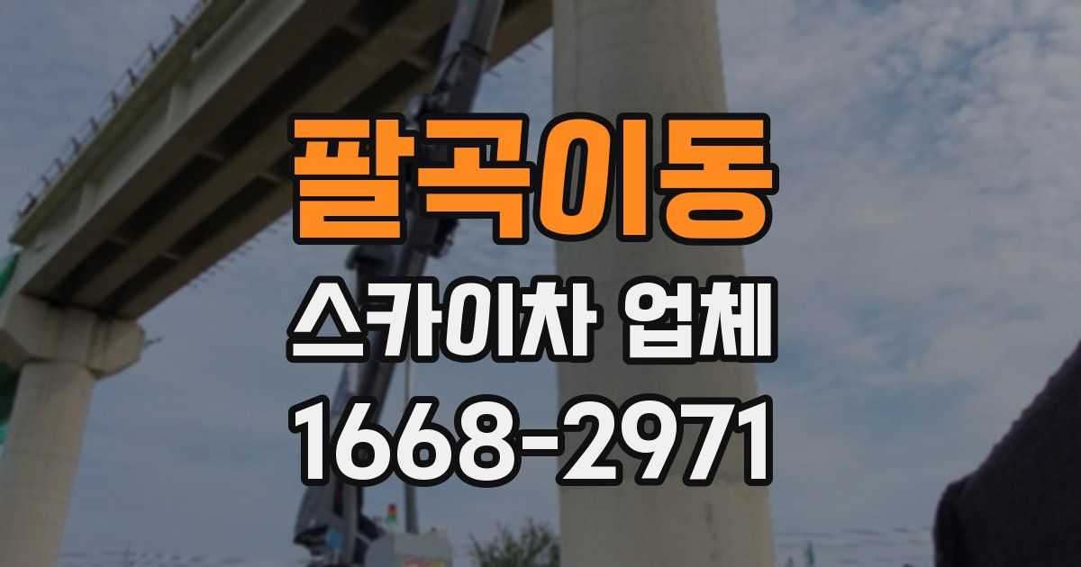 팔곡이동 스카이차 업체