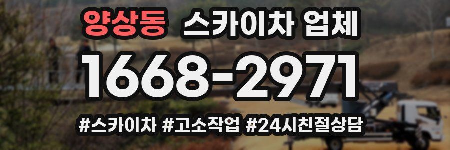 양상동 스카이차 업체