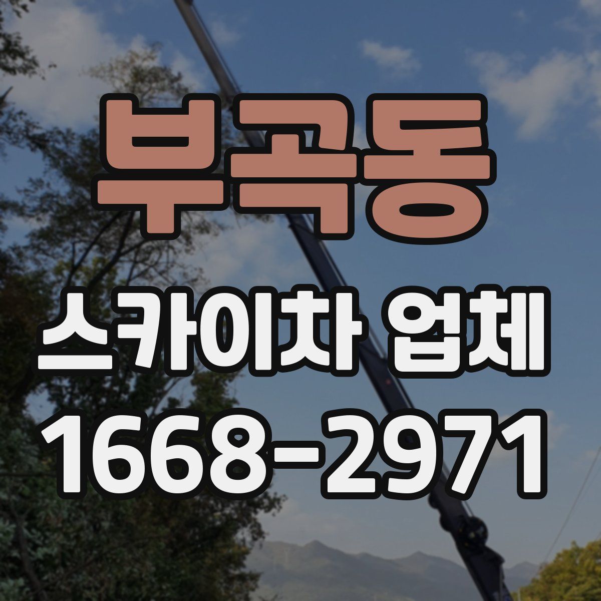 부곡동 스카이차 업체
