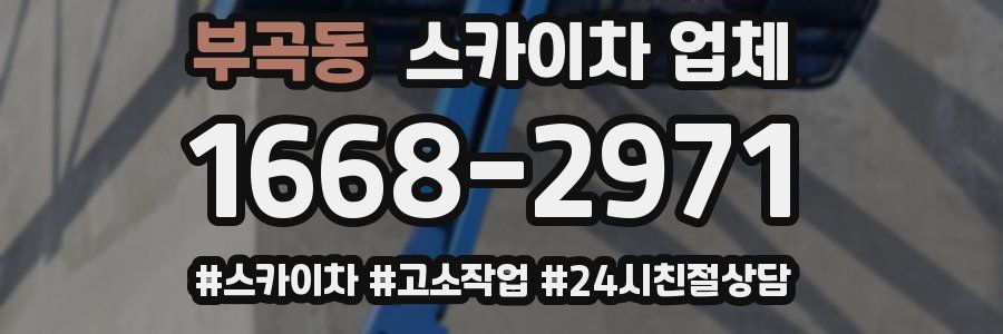 부곡동 스카이차 업체
