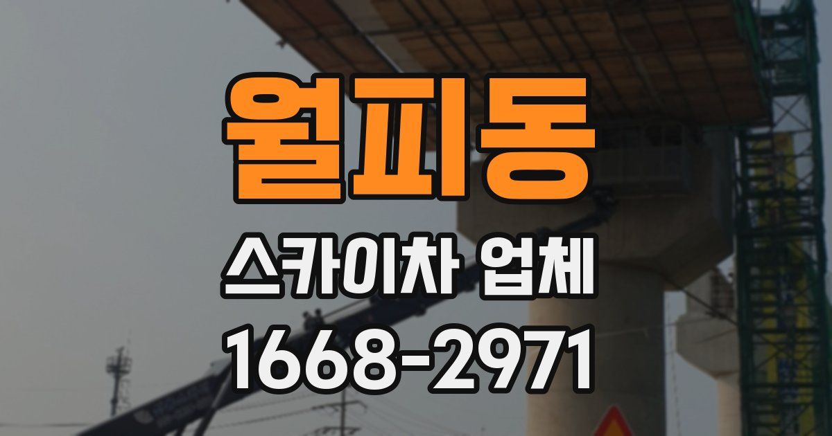 월피동 스카이차 업체