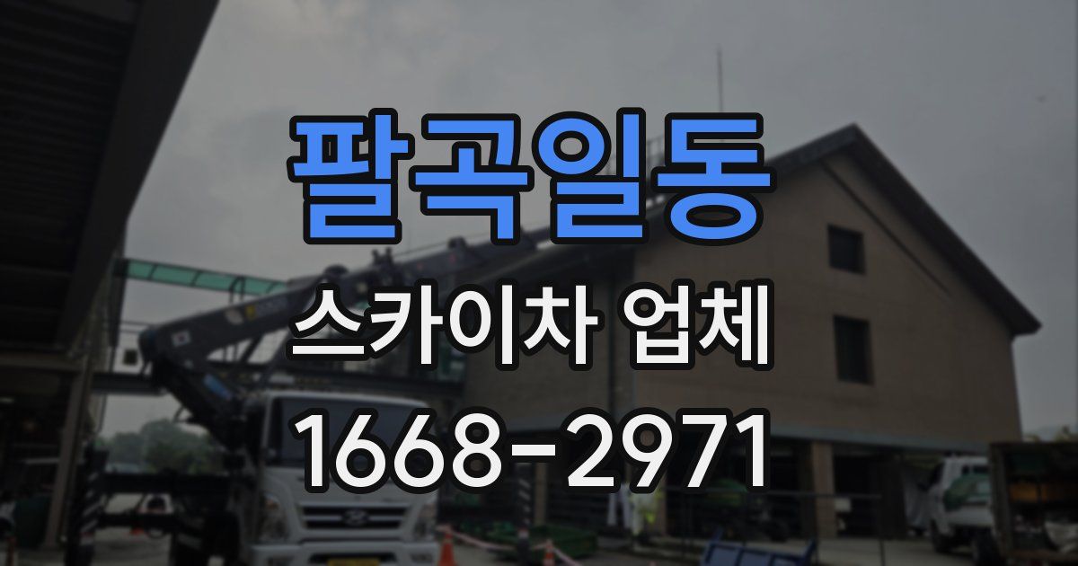 팔곡일동 스카이차 업체