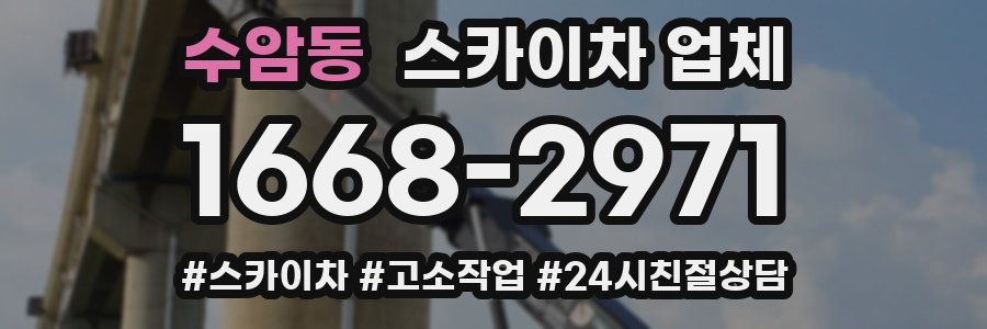 수암동 스카이차 업체