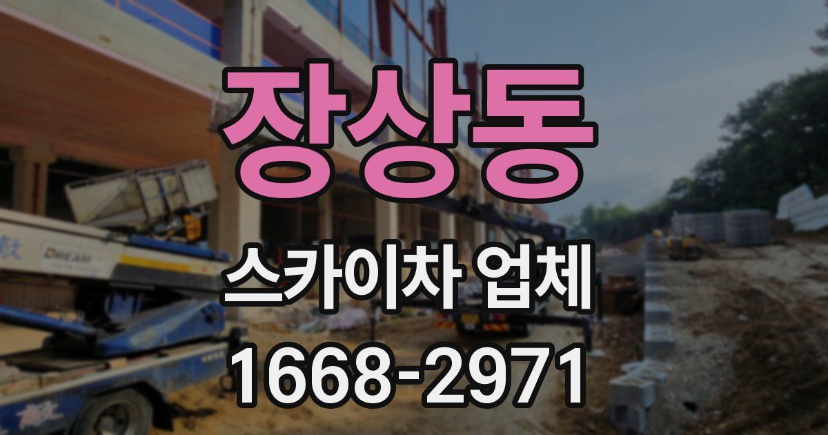장상동 스카이차 업체