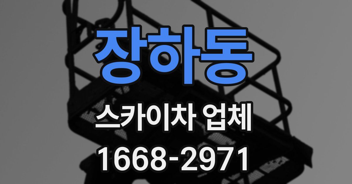 장하동 스카이차 업체