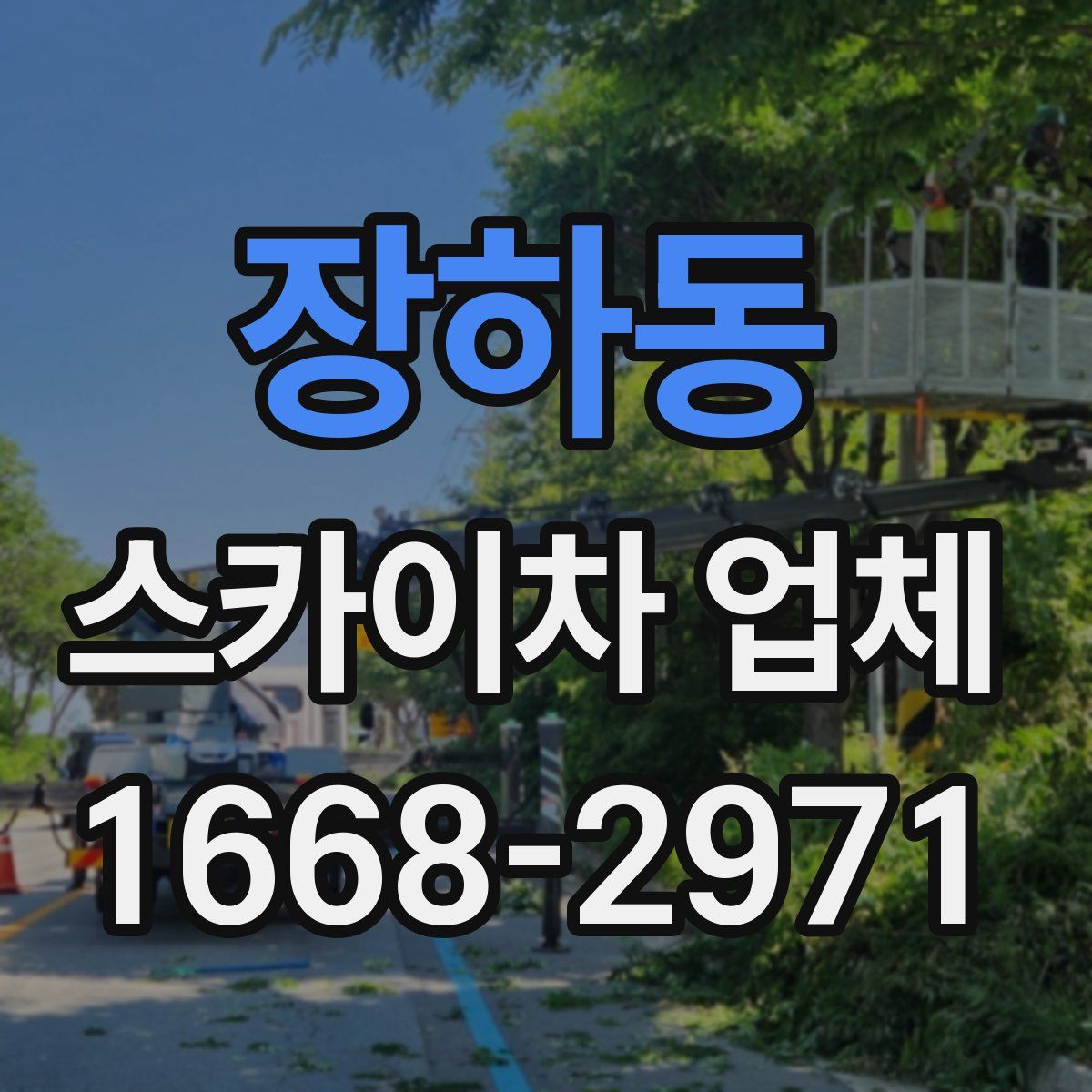장하동 스카이차 업체
