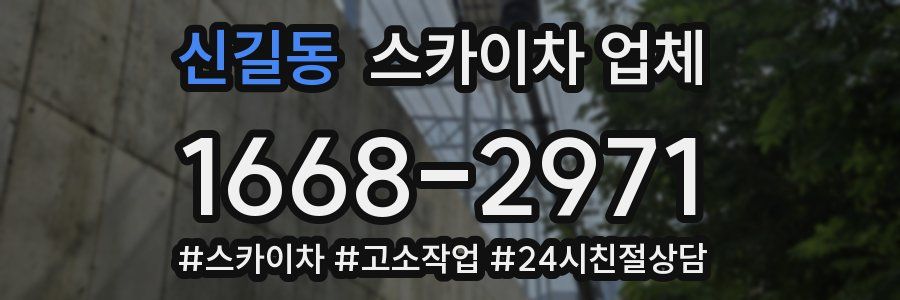 신길동 스카이차 업체
