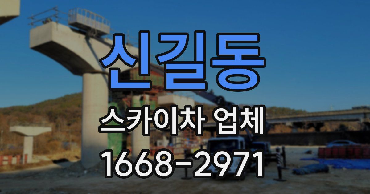 신길동 스카이차 업체