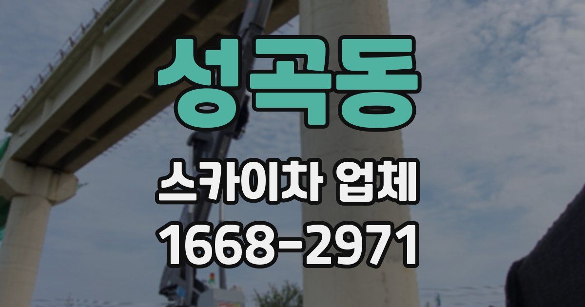 성곡동 스카이차 업체