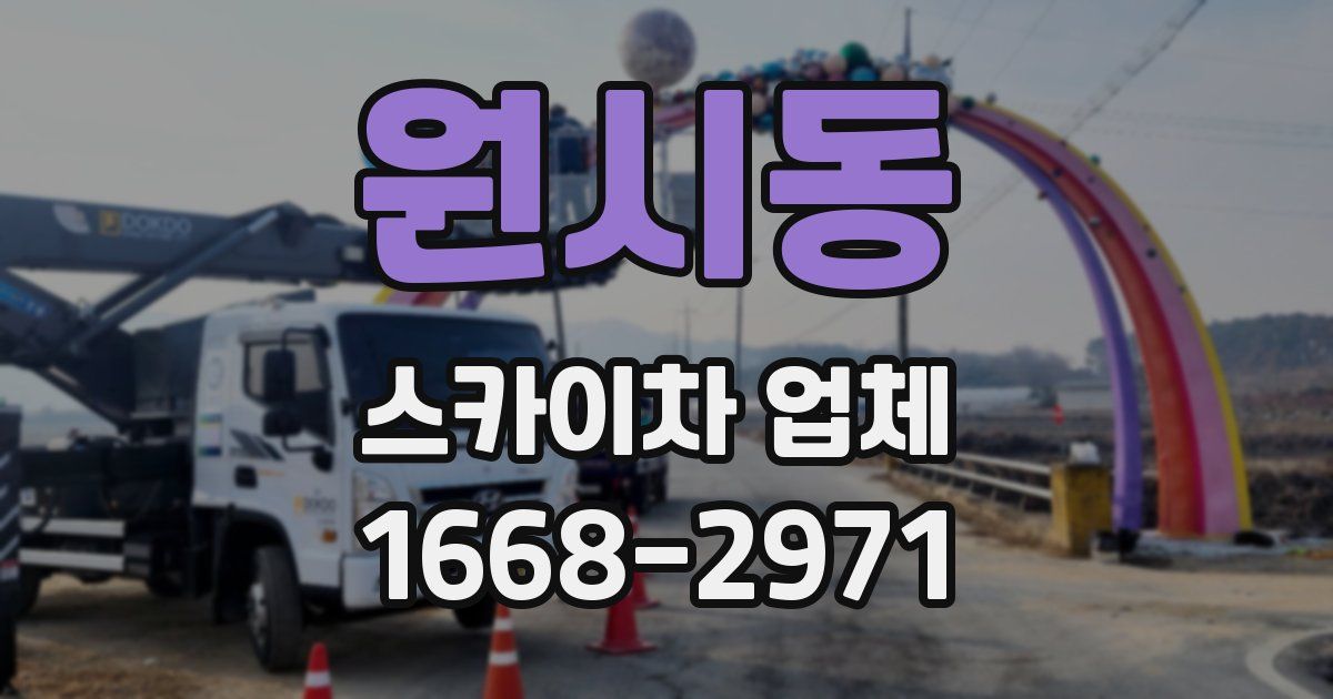원시동 스카이차 업체