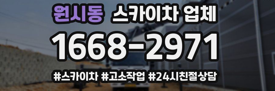 원시동 스카이차 업체