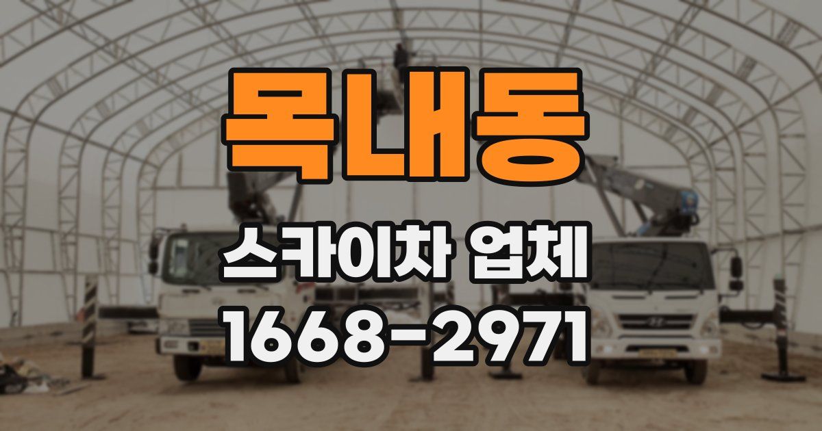 목내동 스카이차 업체