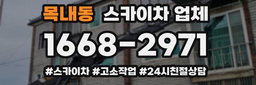 목내동 스카이차 업체