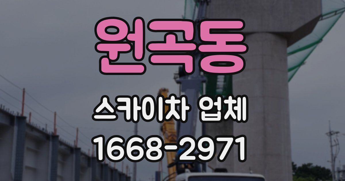 원곡동 스카이차 업체