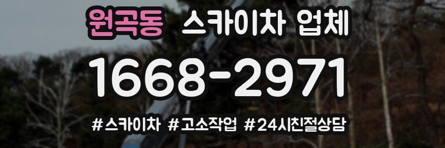 원곡동 스카이차 업체