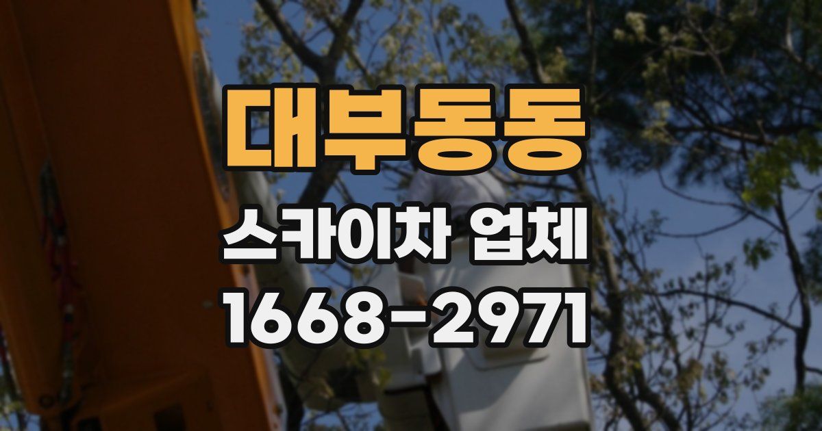 대부동동 스카이차 업체