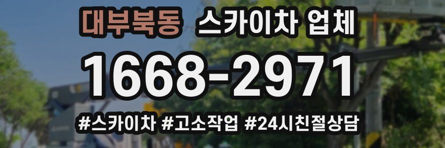 대부북동 스카이차 업체