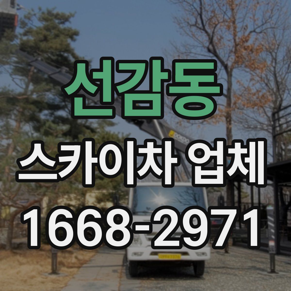 선감동 스카이차 업체