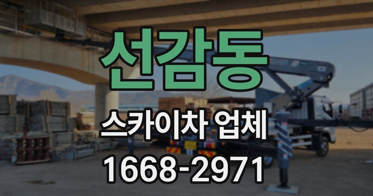 선감동 스카이차 업체