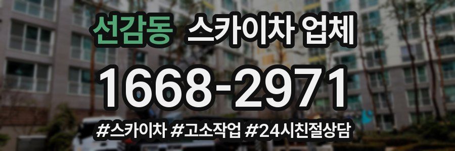 선감동 스카이차 업체