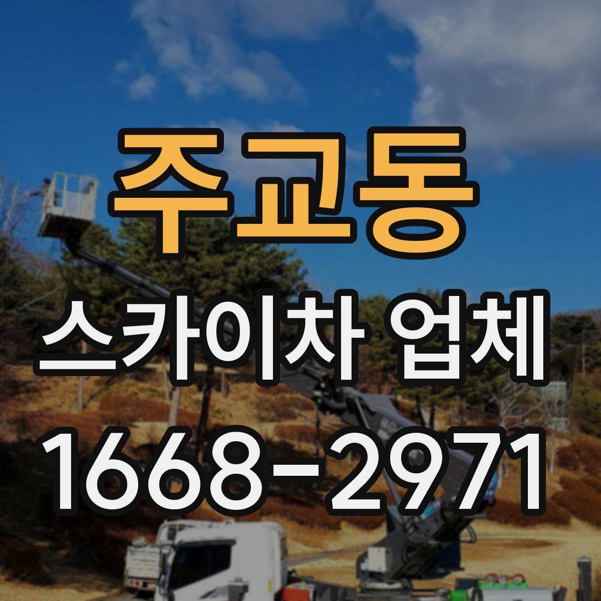 주교동 스카이차 업체