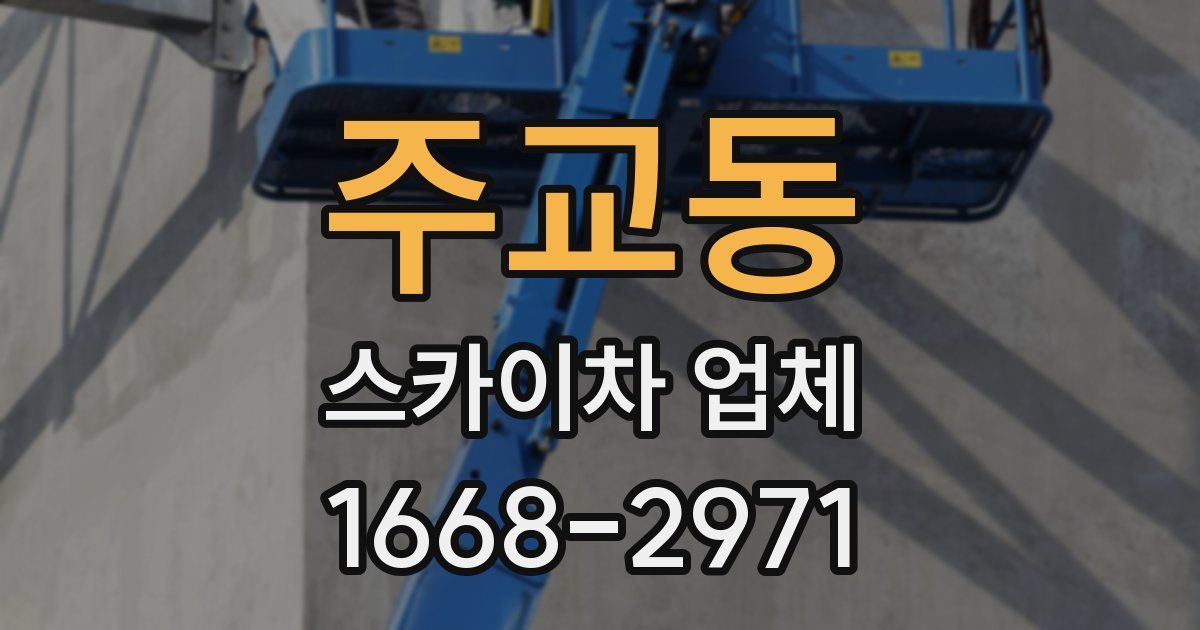 주교동 스카이차 업체