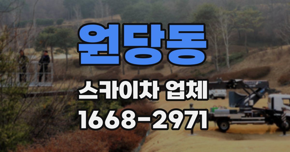원당동 스카이차 업체
