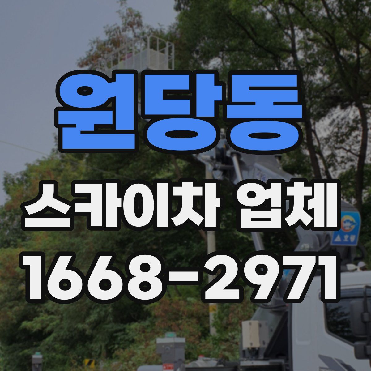 원당동 스카이차 업체