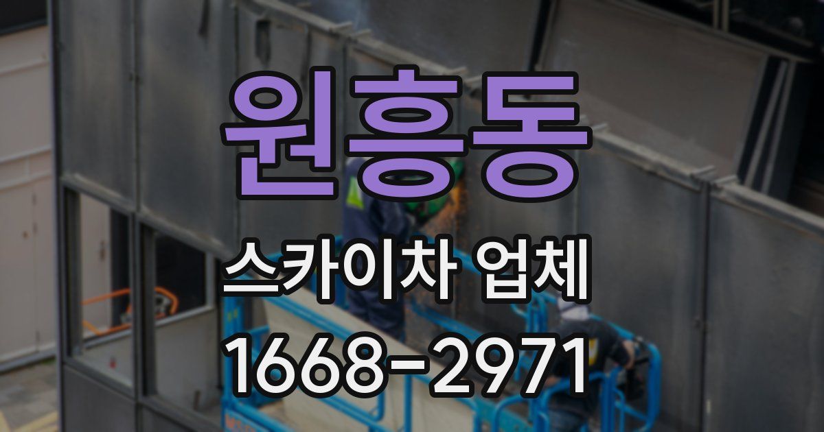 원흥동 스카이차 업체