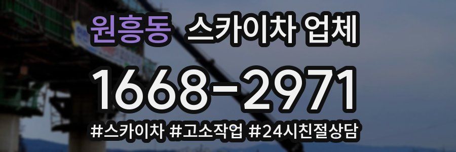원흥동 스카이차 업체
