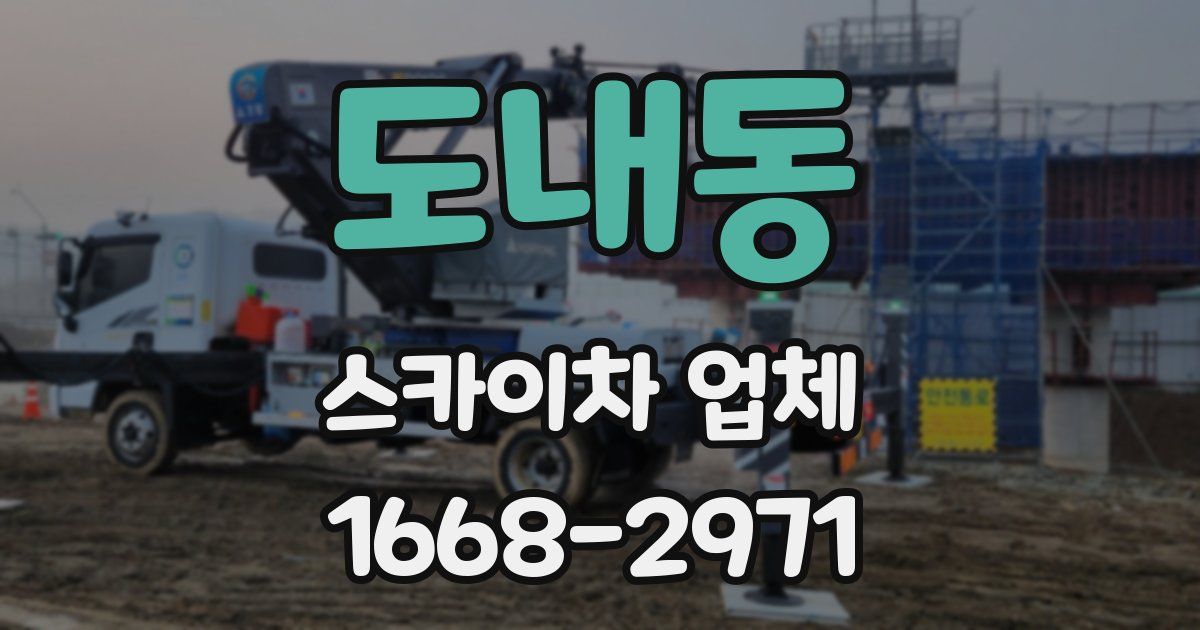 도내동 스카이차 업체