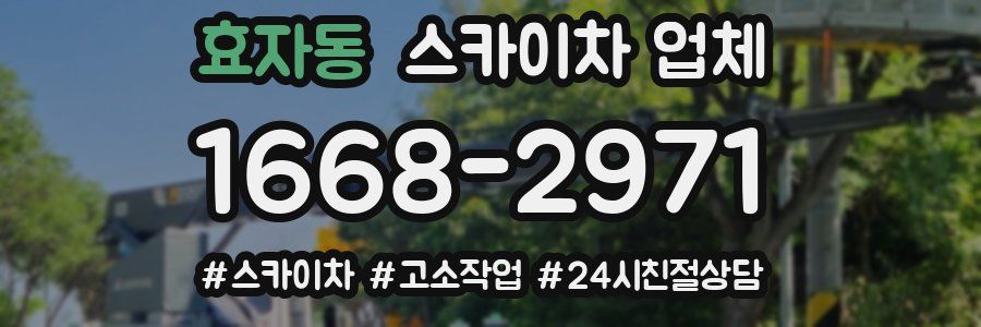 효자동 스카이차 업체