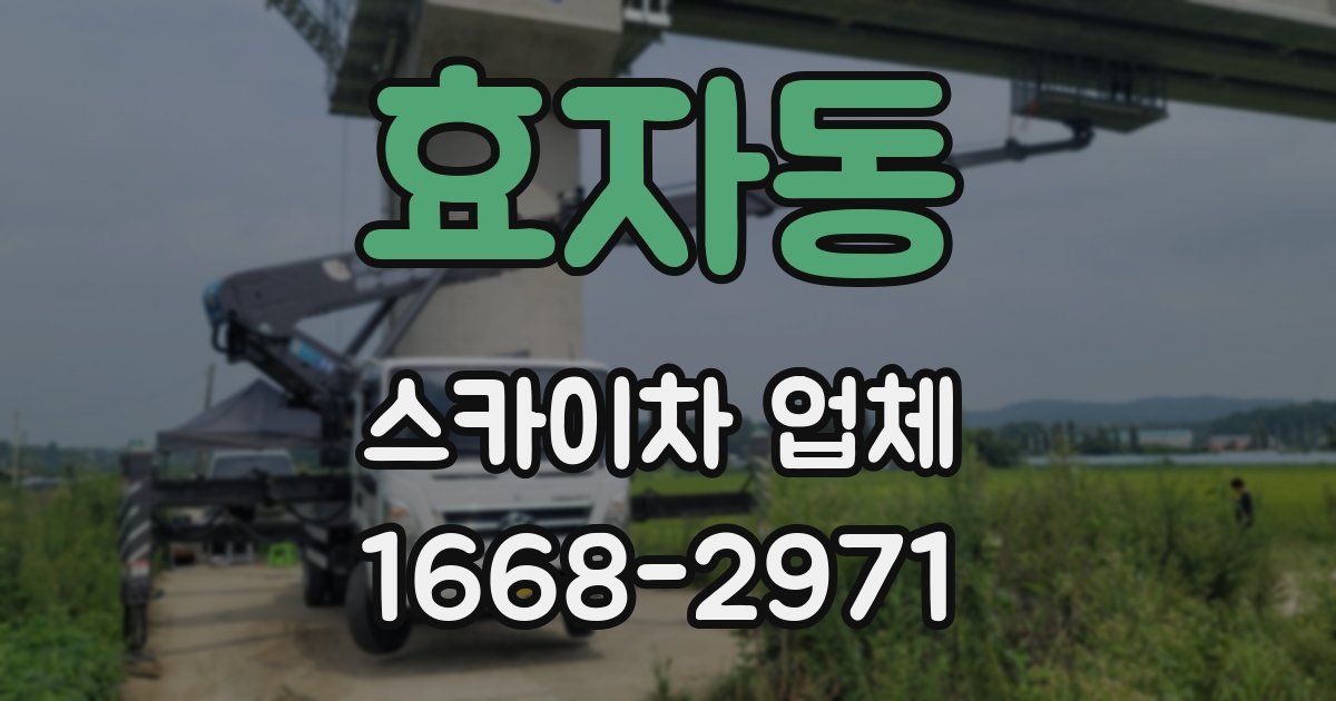 효자동 스카이차 업체