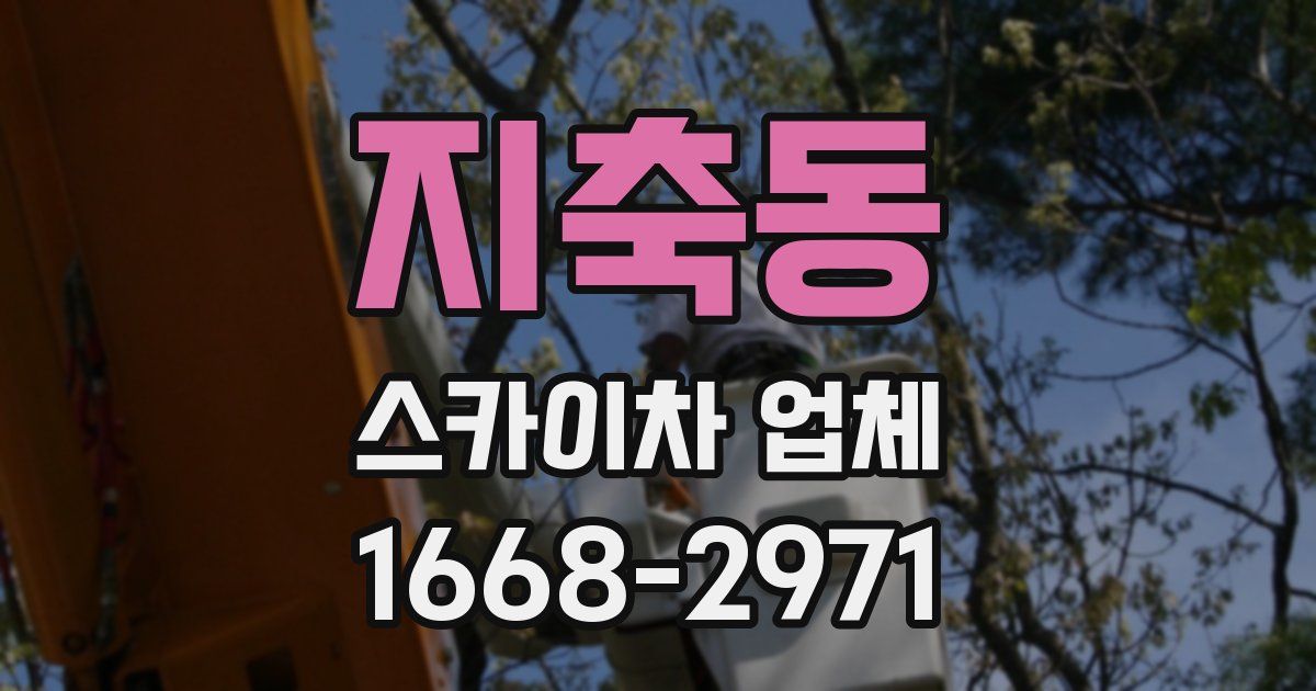 지축동 스카이차 업체