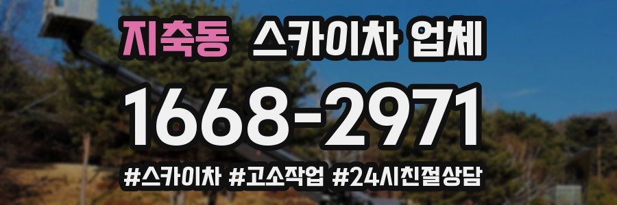 지축동 스카이차 업체