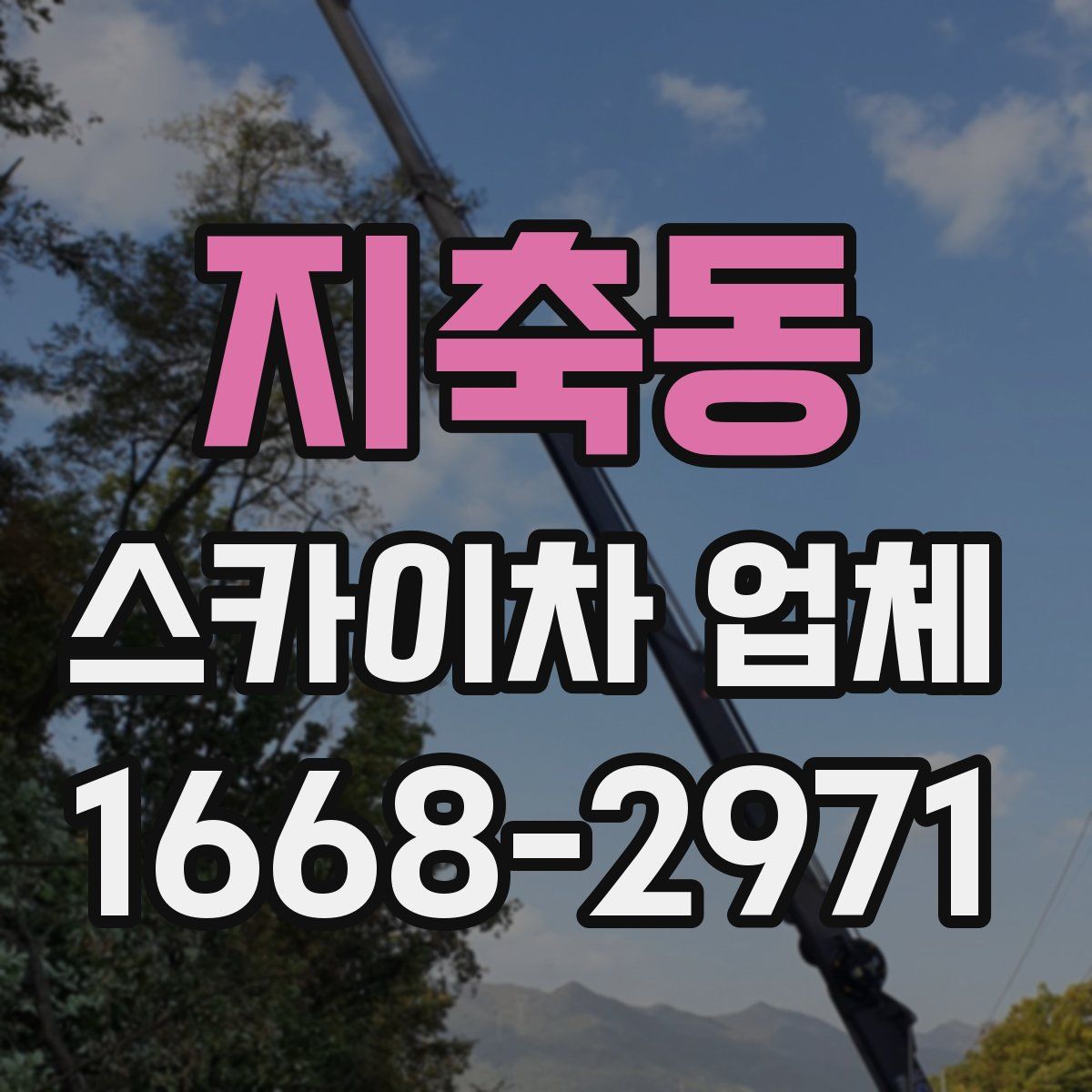 지축동 스카이차 업체
